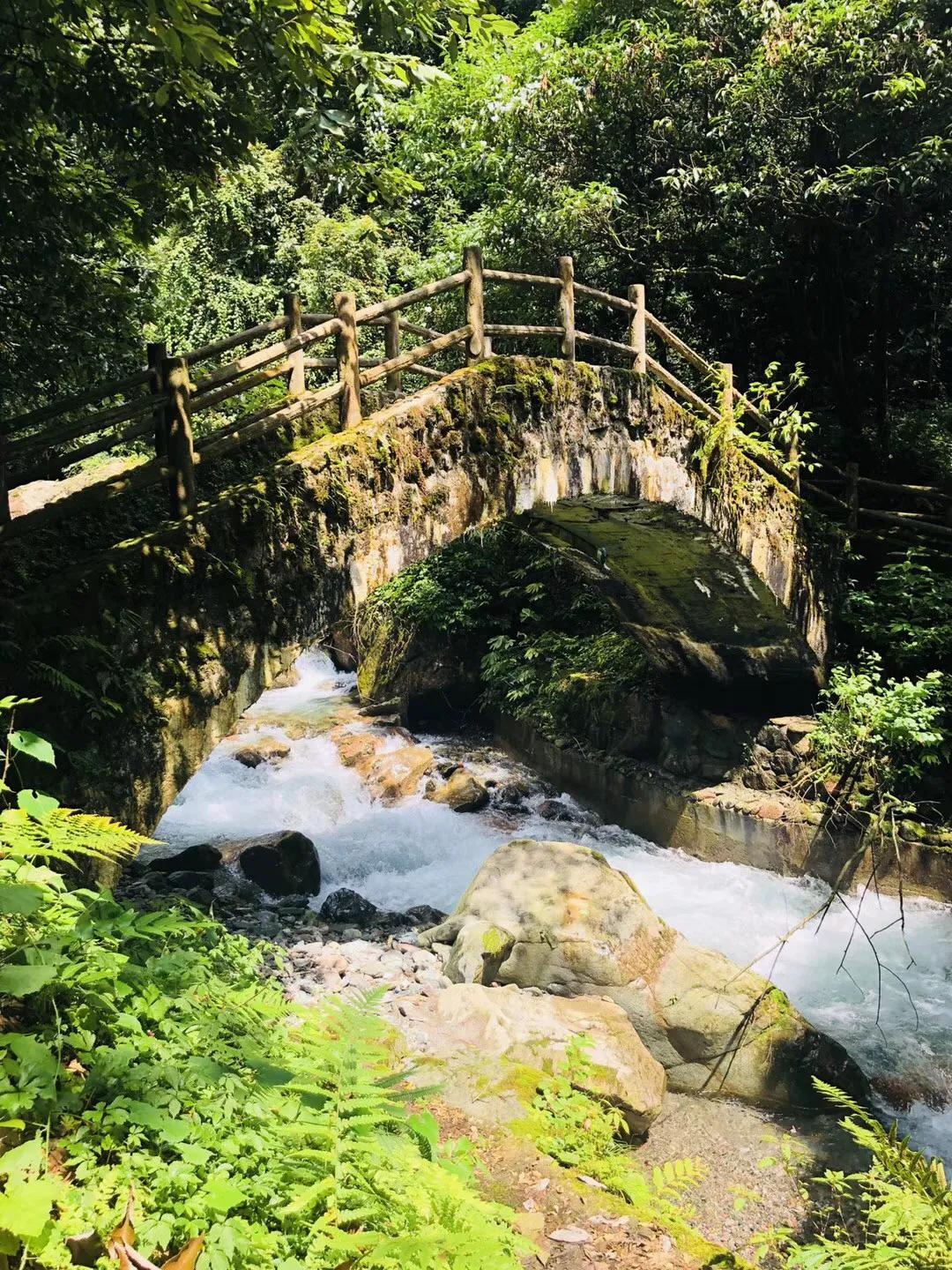 对精神问题,中西医的分歧